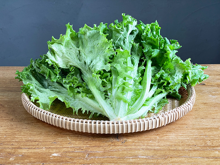 農薬不使用・屋内栽培レタス　ヘルシーリーフ 150ｇ【0.3kg】