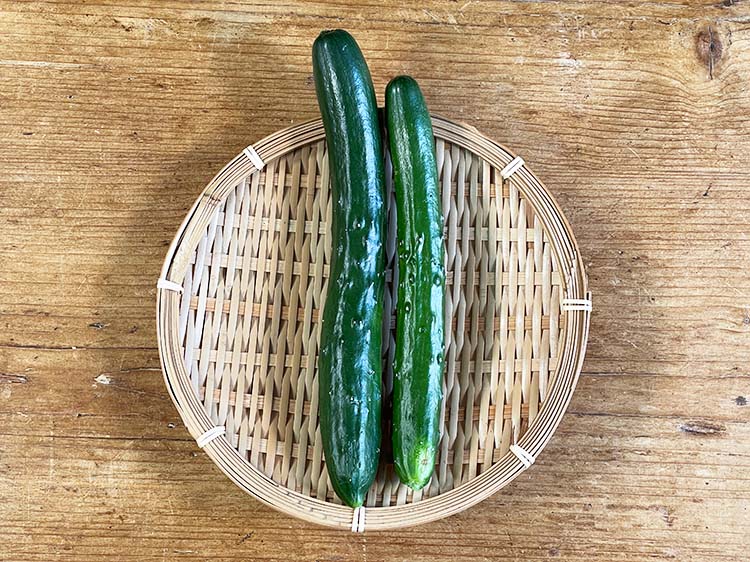 鹿児島県産 きゅうり(2～3本) 200ｇ～【0.4kg】