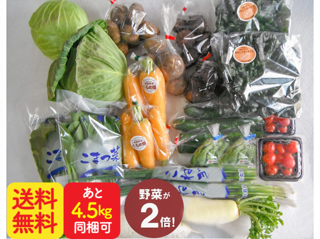 ダブル九州野菜セット