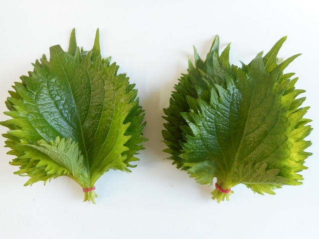 九州産大葉(青しそ)(市場野菜)【0.1kg】