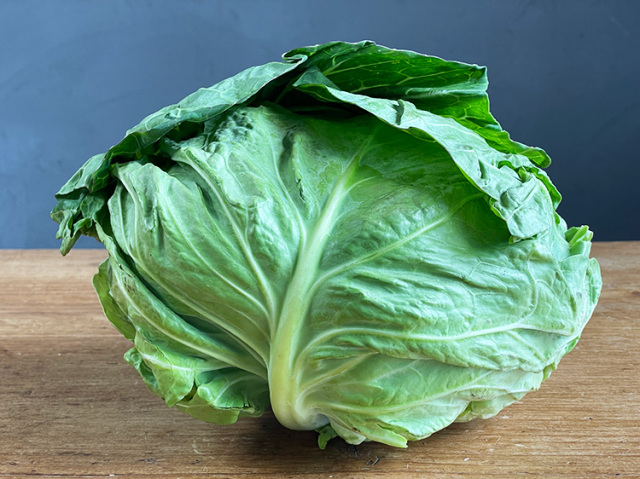 鹿児島県産キャベツ 小さめ 500g~【3kg】