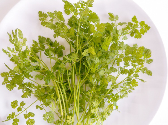 九州産チャービル(市場野菜) 10ｇ【0.1kg】