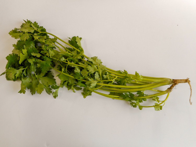 九州産コリアンダー(パクチー)(市場野菜) 40ｇ【0.1kg】