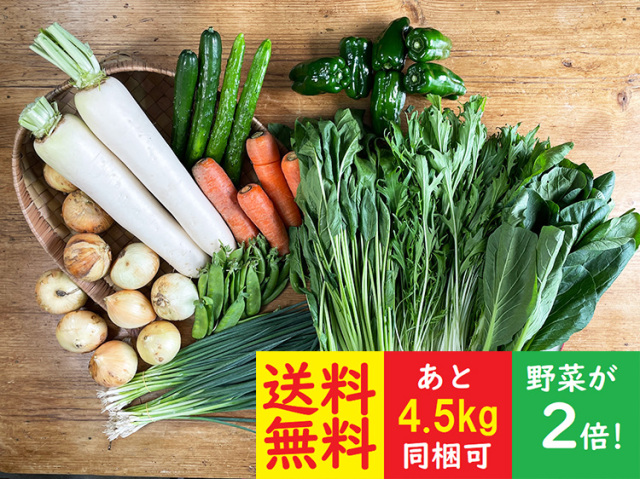 ★送料無料★ダブル九州野菜セット【10.5kg】