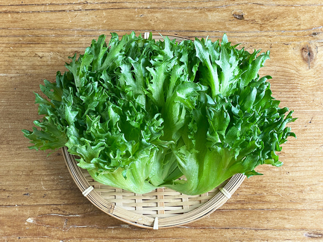 洗わず食べられるプレミアム水耕栽培レタス2種類10袋 ヘルシーリーフ約700g フリフリリーフ約900g フリルアイス約180g 5袋 リーフレタス約140g 5袋 Sale 97 Off リーフレタス約140g 5袋 洗わず食べられるプレミアム水耕栽培レタス2種類10袋 ヘルシーリーフ約700g フリフリリーフ約900g フリルアイス約180g 5袋 リーフレタス約140g 5袋 Sale 97 Off リーフレタス約140g 5袋