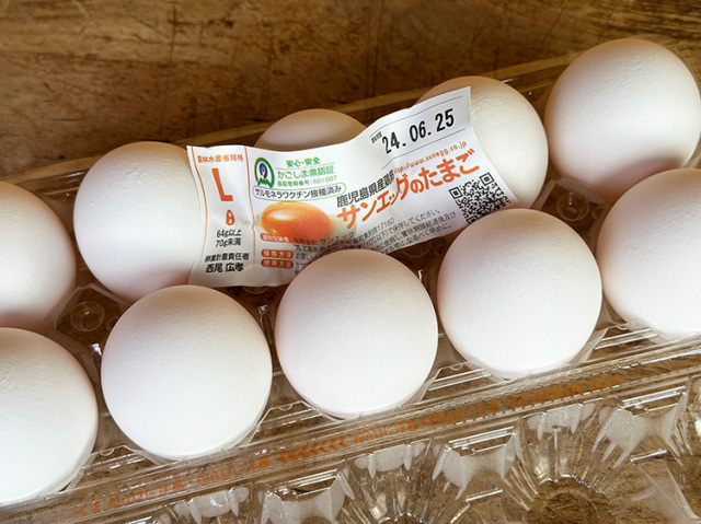 九州産 普通の卵 10個入パック