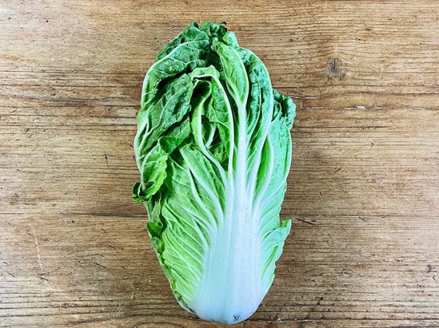 鹿児島県産白菜 小さめ 500g~【3.5kg】