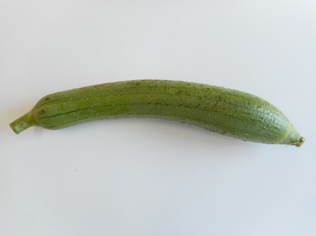 鹿児島県産　食べるヘチマ1本 300g前後【0.5kg】