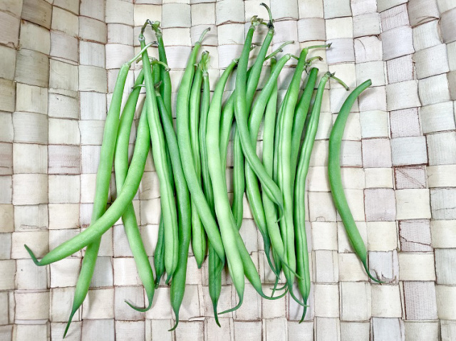 鹿児島県産 インゲン 60ｇ～【0.1kg】