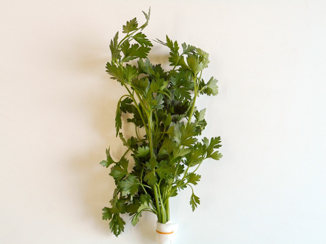 九州産イタリアンパセリ(市場野菜) 20ｇ【0.1kg】
