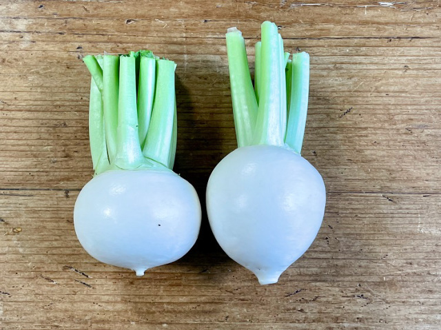 鹿児島県産かぶ 【0.5kg】