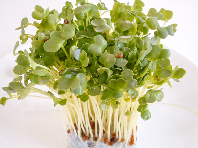 九州産かいわれ(市場野菜) 70ｇ【0.1kg】