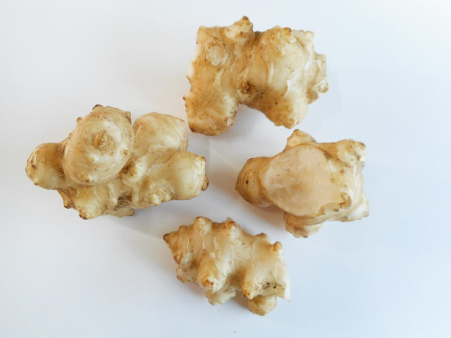 鹿児島県産 農薬不使用 菊芋(きくいも)【0.3kg】