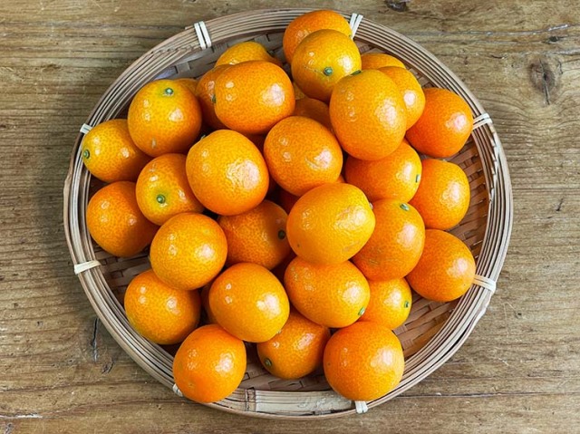 まるちゃんきんかん 1kg【1.2kg】