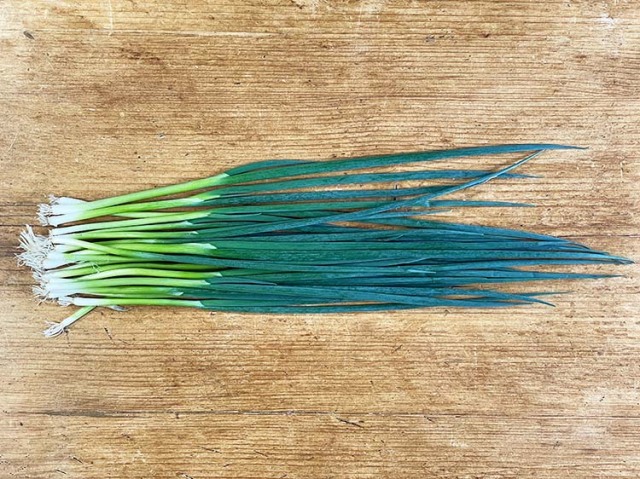 九州産こねぎ(葉ねぎ・万能ネギ)(市場野菜)  80ｇ～【0.2kg】