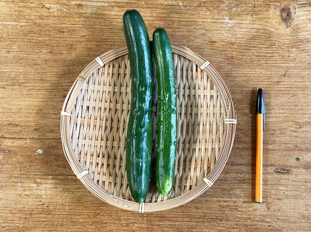 きゅうり 秩父きゅうり | 埼玉県産ブランド野菜【秩父きゅうり】を販売
