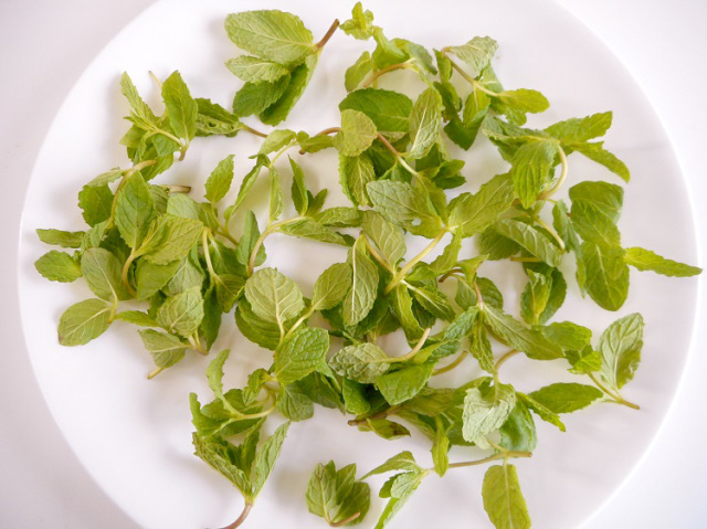 九州産ミント(市場野菜) 10ｇ【0.1kg】