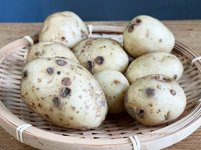 鹿児島の無農薬・減農薬栽培　じゃが芋 400ｇ～【1kg】