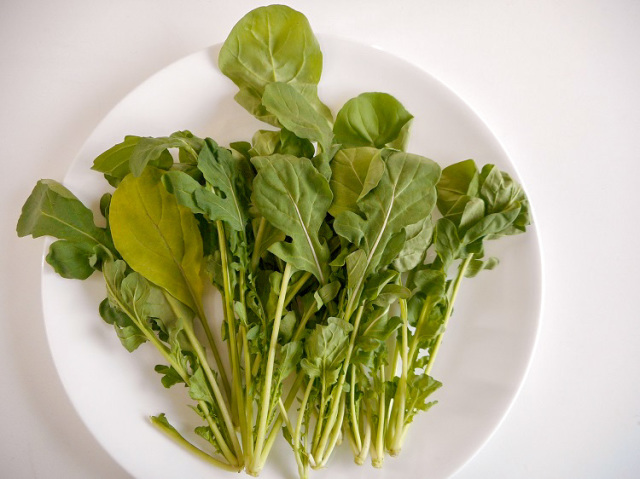 九州産ルッコラ(市場野菜) 40ｇ【0.1kg】