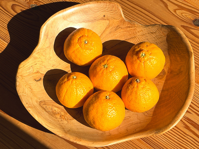 梅北さんの 規格外 不知火(しらぬい) 約1kg【1.2kg】