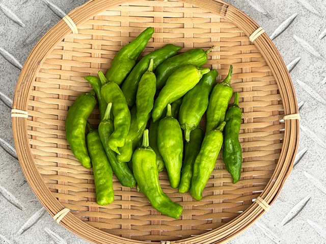 鹿児島県産 無農薬栽培 ししとう 80g～【0.2kg】