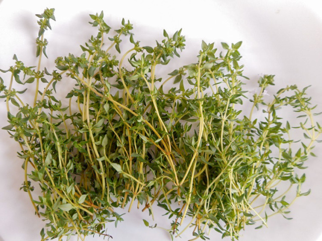 九州産タイム(市場野菜) 20ｇ【0.1kg】