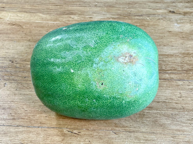 鹿児島県産ミニとうがん