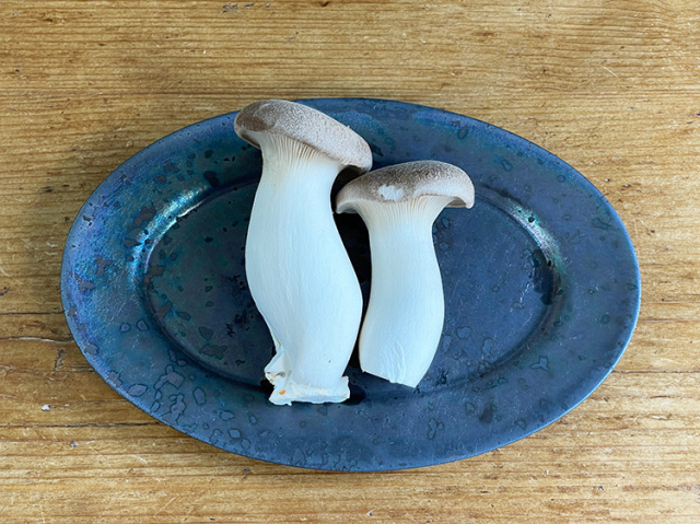 雲仙きのこ本舗・他　九州産エリンギ 100ｇ【0.4kg】