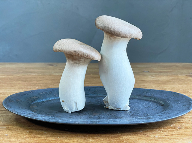 雲仙きのこ本舗・他 九州産エリンギ