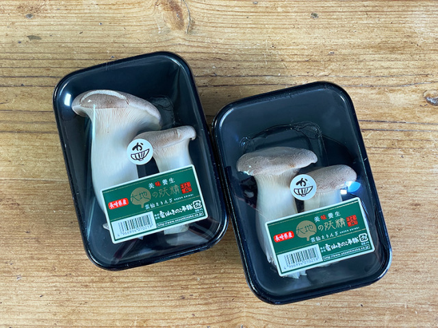 【お得】雲仙きのこ本舗・他　九州産エリンギ 100ｇ×2パックセット【0.8kg】