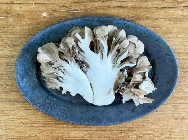 雲仙きのこ本舗・他　九州産まいたけ 100ｇ【0.4kg】