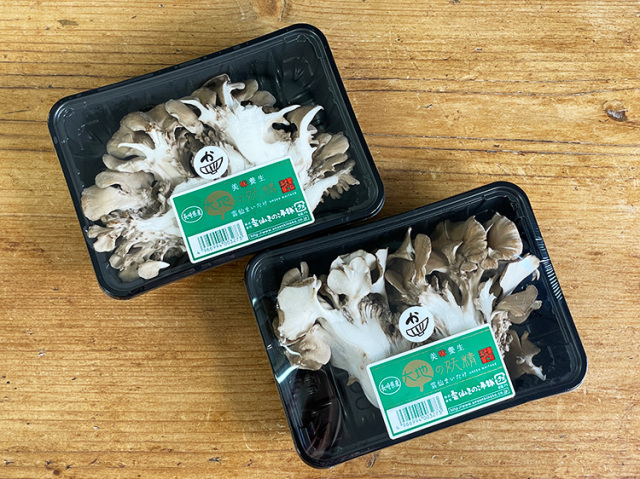【お得】雲仙きのこ本舗・他　九州産まいたけ 100ｇ×2パックセット【0.8kg】