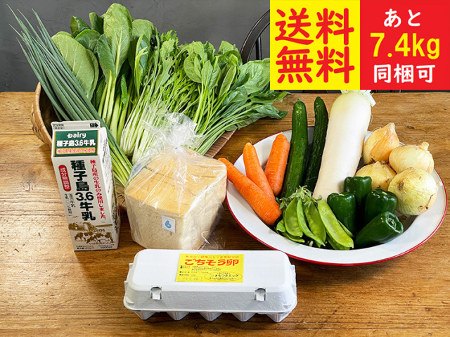 ★送料無料★九州野菜と牛乳・卵・食パンセット【7.6kg】