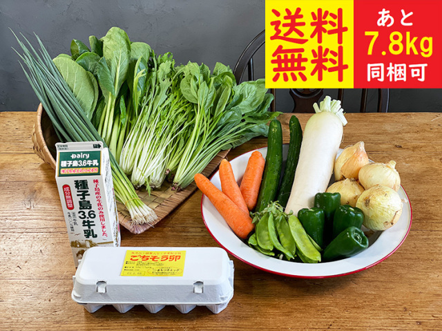 ★送料無料★九州野菜と牛乳・卵セット【7.2kg】