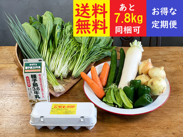 ★送料無料★【定期便】九州野菜と牛乳・卵セット【7.2kg】