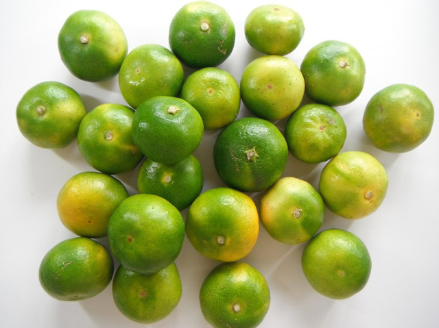 鹿児島・宮崎産　みかん1kg【1.5kg】