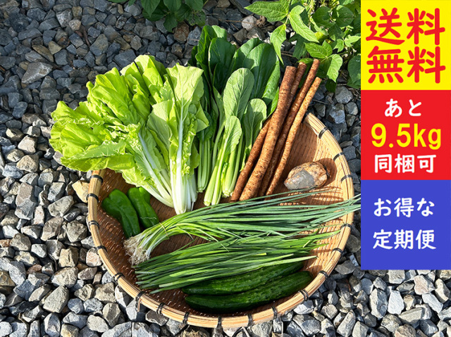 ★送料無料★【定期便】九州野菜セット【5.5kg】