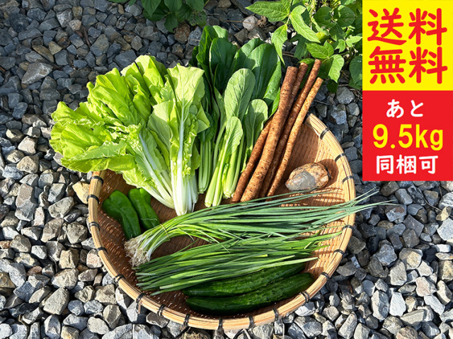 ★送料無料★九州野菜セット【5.5kg】