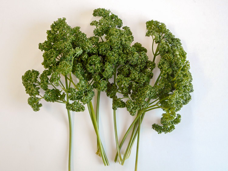 九州産パセリ(市場野菜) 20ｇ【0.1kg】