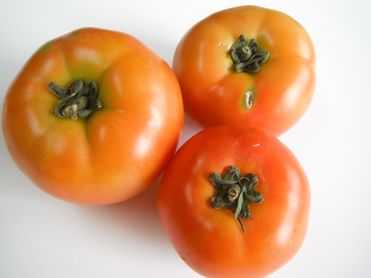 九州産トマト (2～6玉 300ｇ～)(市場野菜)【1kg】