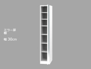 wsd-mtr.jpg