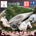 【冷蔵】とらふぐみがき 1尾（小）/EC