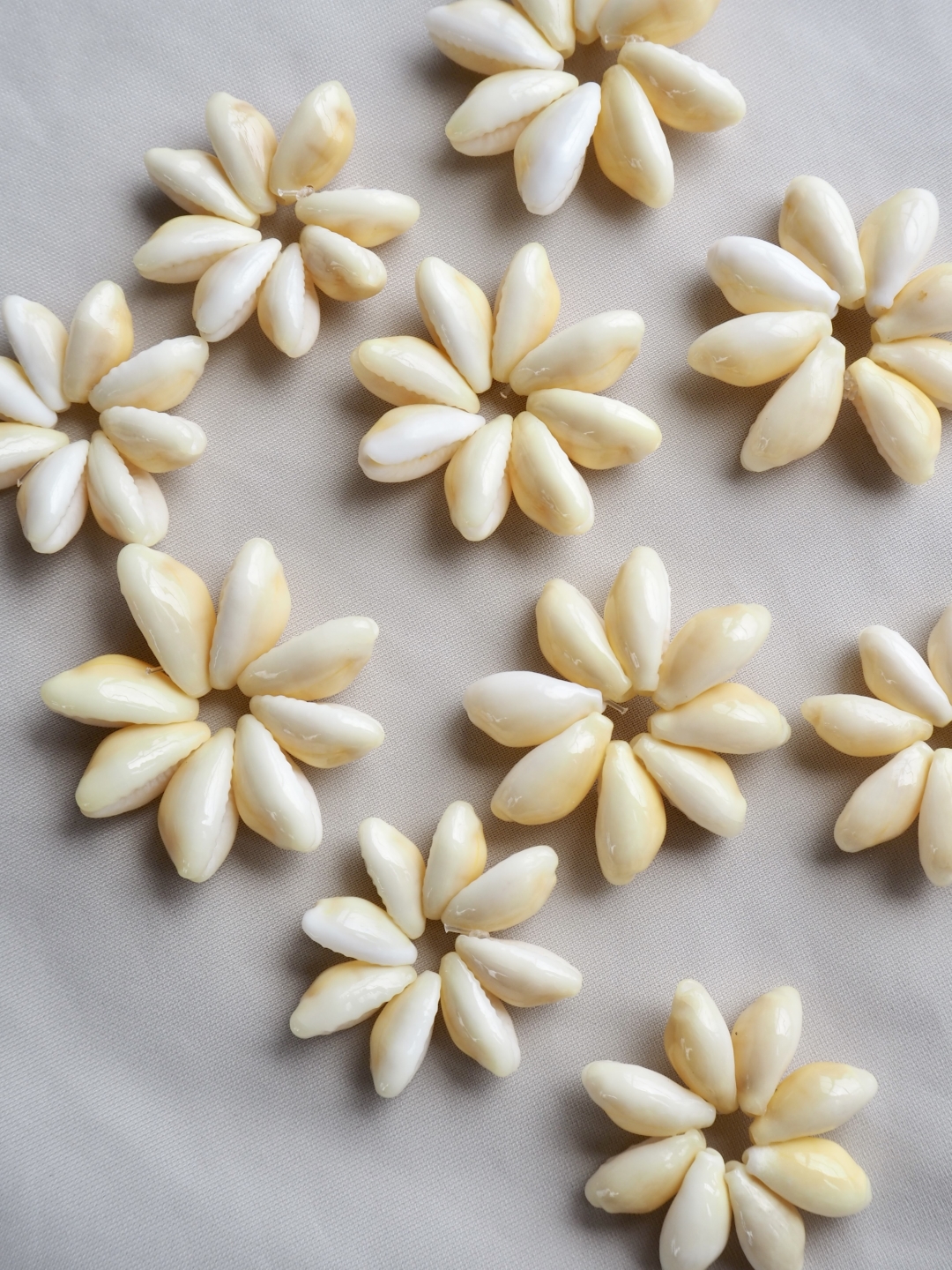 マニータイエローリング(約3.5±0.5cm)En: Shell ring -Money cowrie yellow