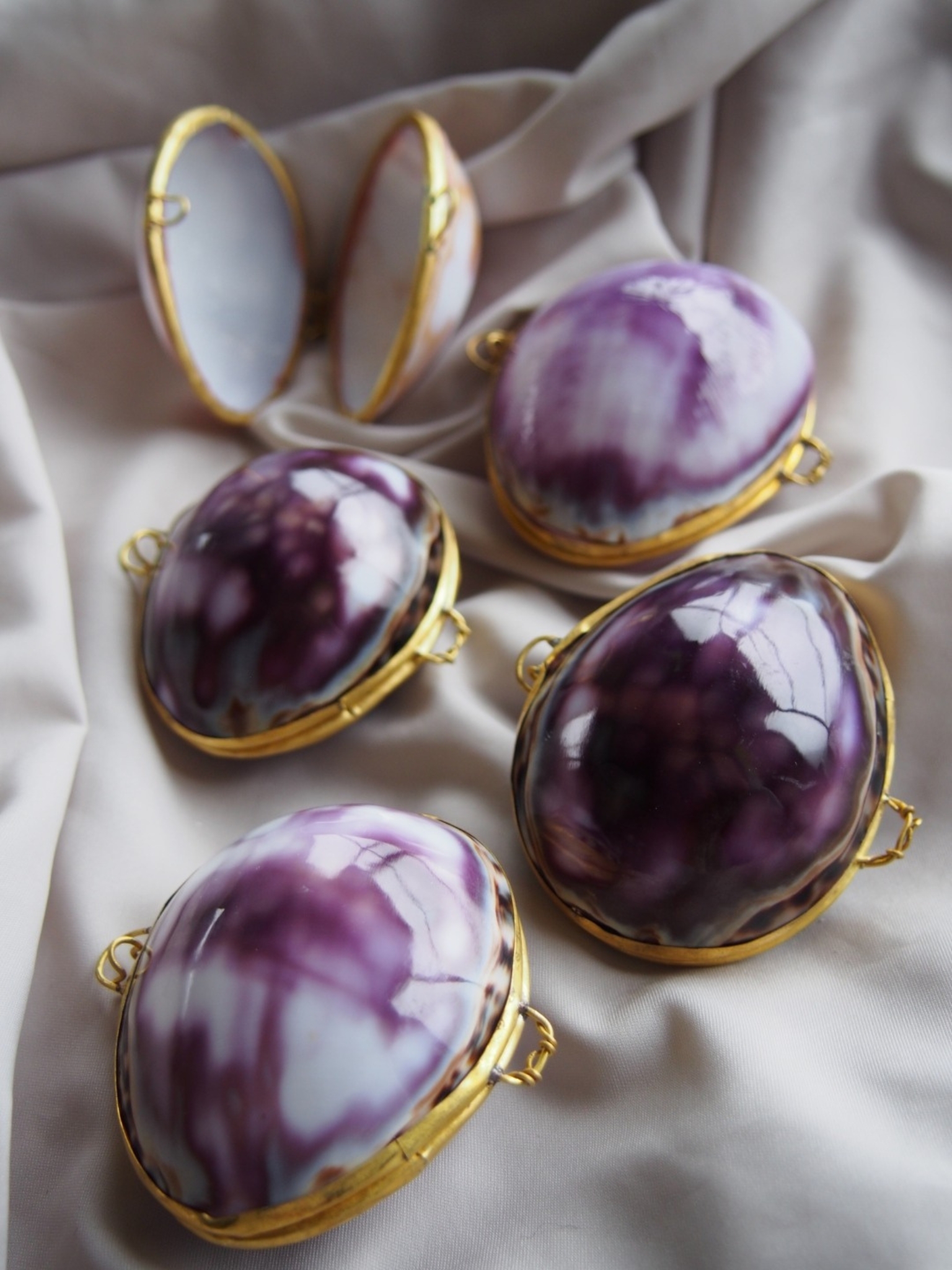 12月のお買い得 [10%OFF]貝殻の小物入れ-タカラガイ(ムラサキ)-【6cm前後/1個】  En:  Shell coin purse -cowrie- (size:approx.6cm, per 1pcs)