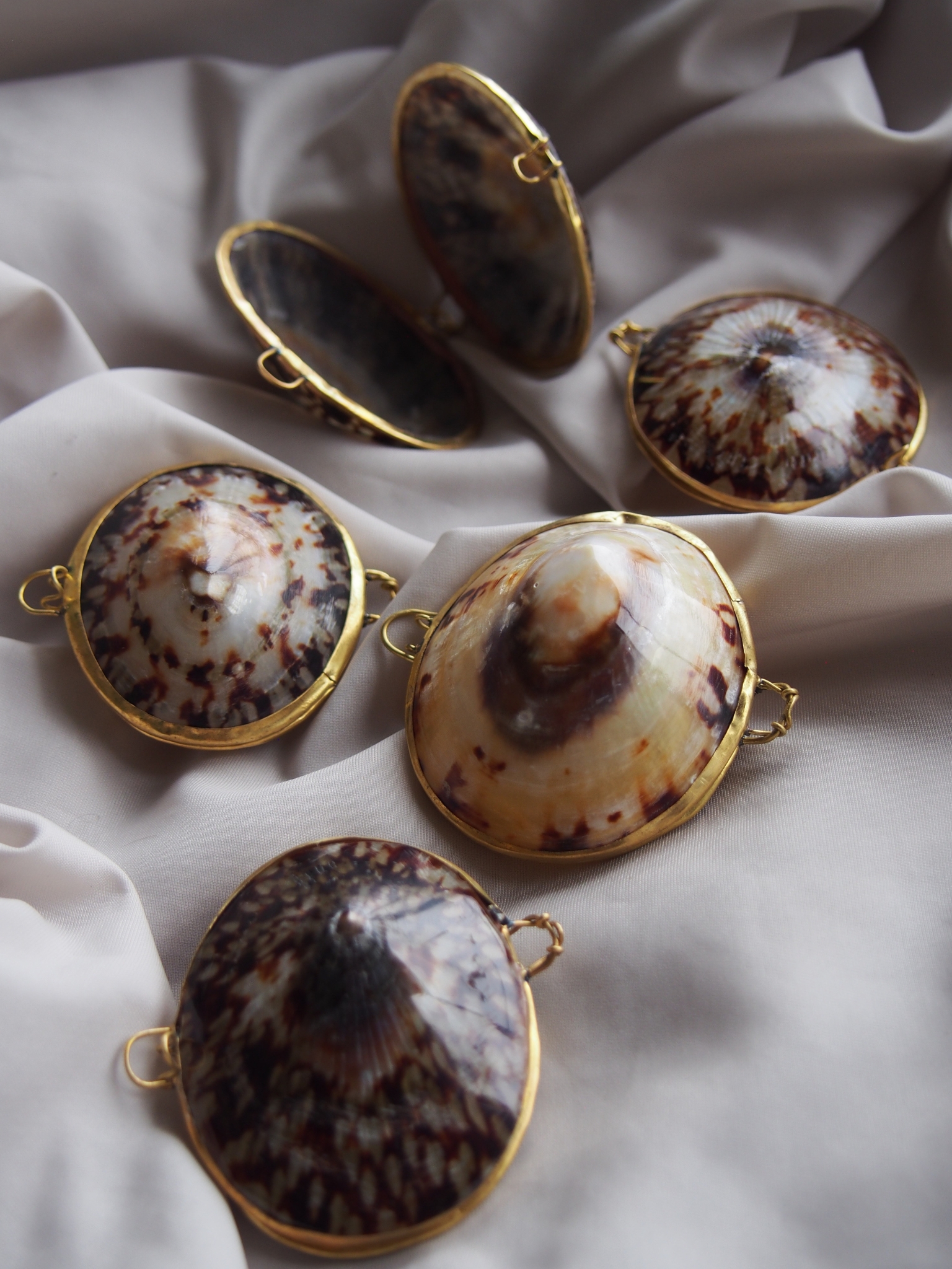 貝殻の小物入れ-クリームブリュレ(テツディナリア)-【5cm前後/1個】 En:  Shell coin purse -pattella tetsudinaria- (size:approx.5cm, per 1pcs)
