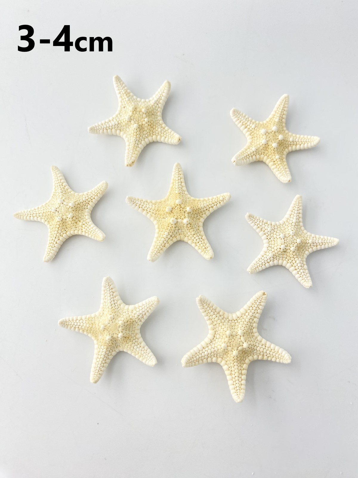コブヒトデ【約3～4cm/10個入り】[メール便可-15袋まで] En: Philippine starfish, size: approx. 3-4cm, per:10pcs