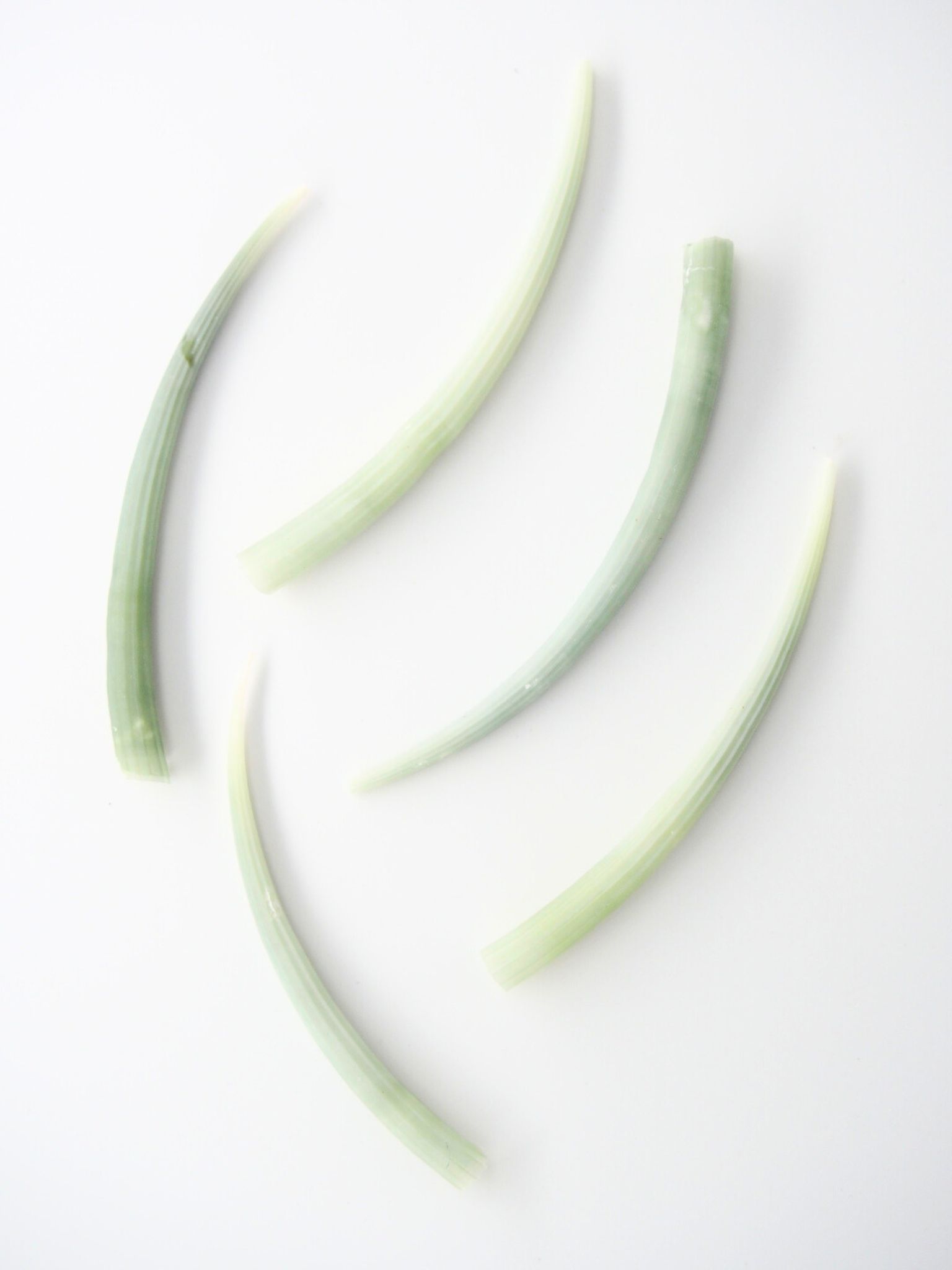 ミズイロツノガイ【約6～8cｍ/5本】[メール便可-25袋まで]  En:Dentalium aprinum (size:6-8cm, per 5pcs) 貝殻