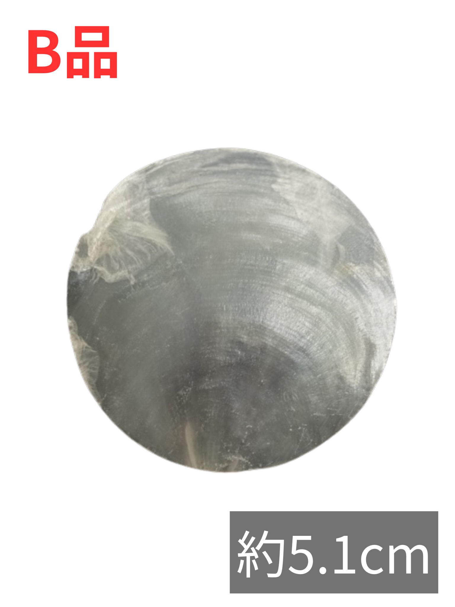 カピスナチュラル-B品-【約5.1cm/10枚】[メール便可-12袋まで]  En:  Capiz Round B grade- natural (size:5.1cm, per 10pcs)