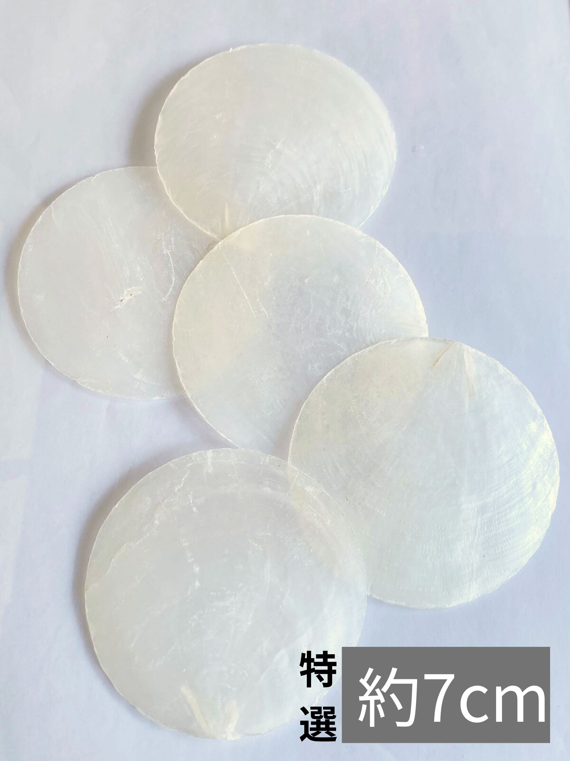 特選カピスナチュラル【約7cm/10枚】[メール便可-6袋まで] En:Capiz natural