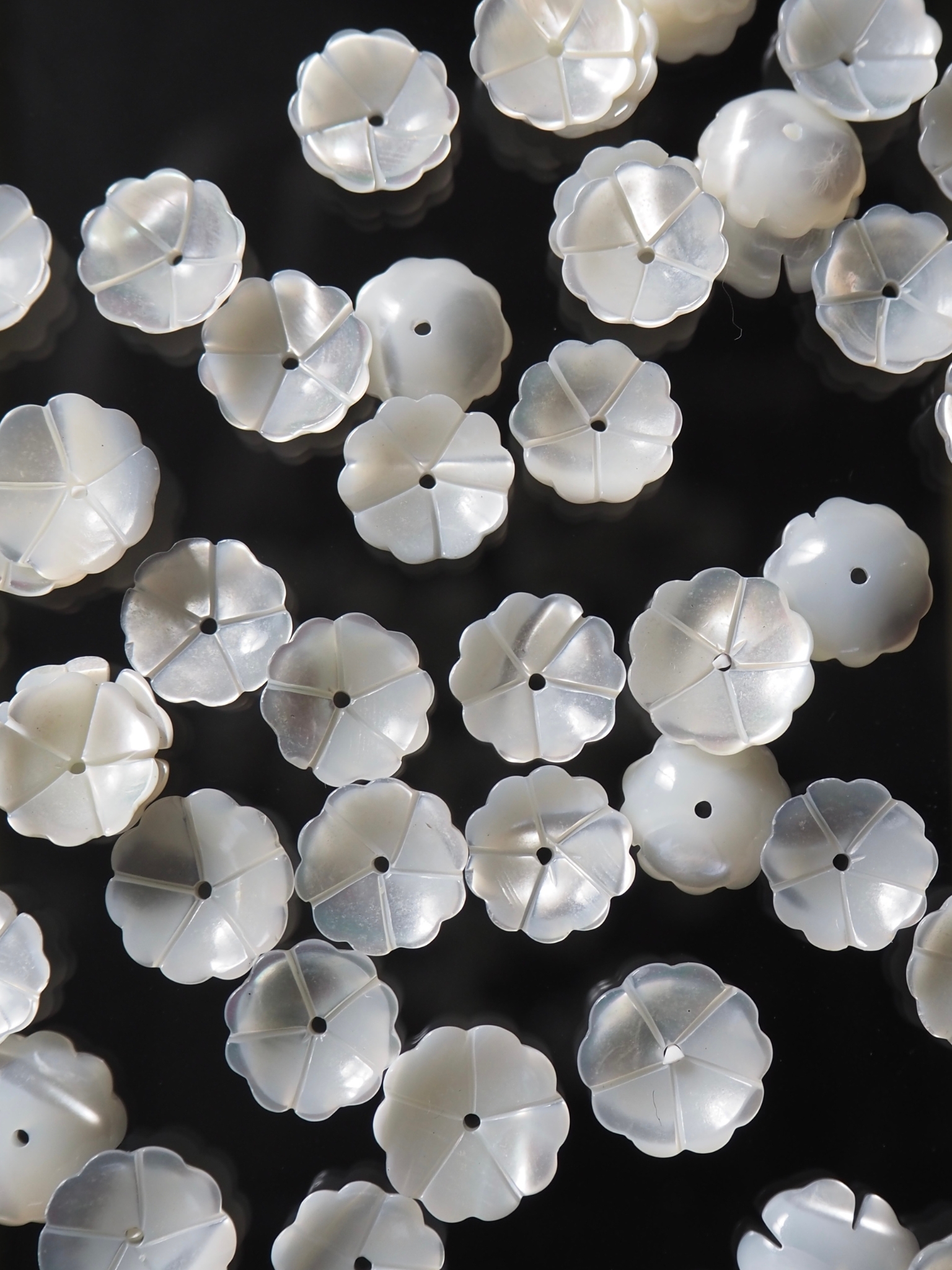 シェルビーズ - カスミソウ(タカセガイ)【約9mm/1個】[メール便可]まとめ買い10%OFF #224 En:Trocus - Shell Beads -baby's breath 貝殻